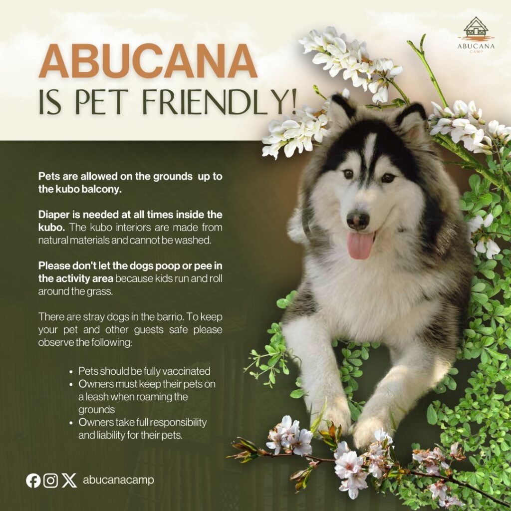 481046561_613167711689604_8734109066852039310_n